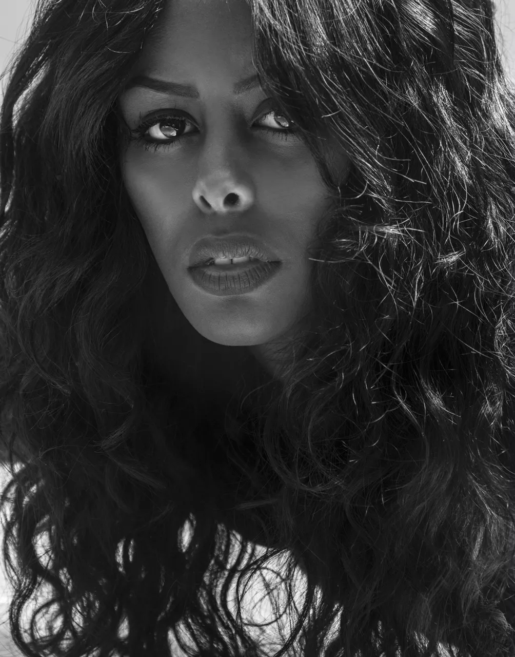 Det bästa nordiska albumet ska utses – dessa svenskar är nominerade