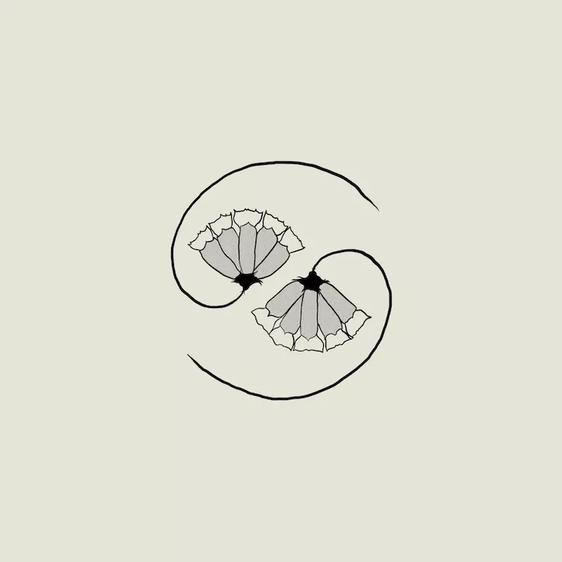 G_D’s Pee At State's End! - Godspeed You! Black Emperor