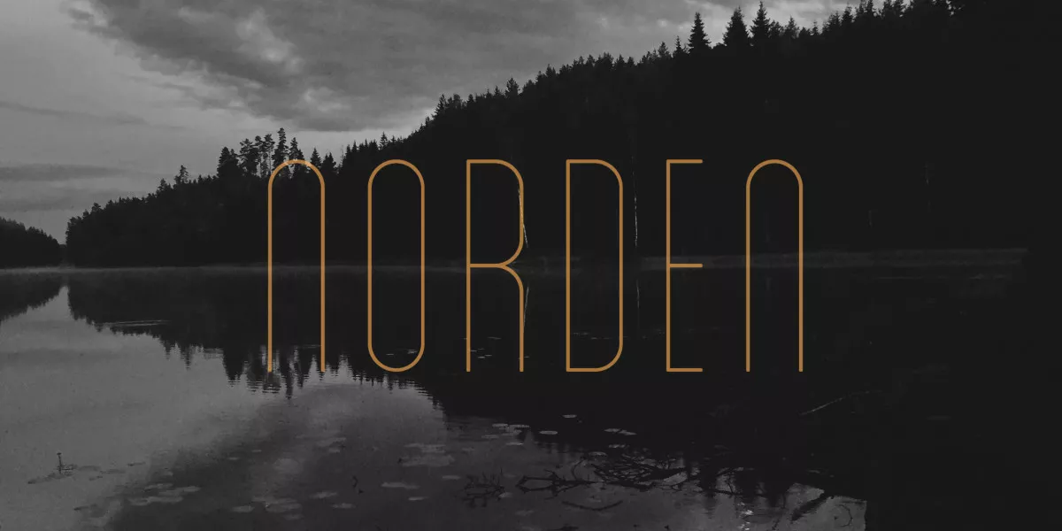 De flotte lyde, der ikke rigtigt vil noget