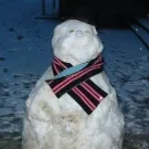 Hvem spiller i aften?