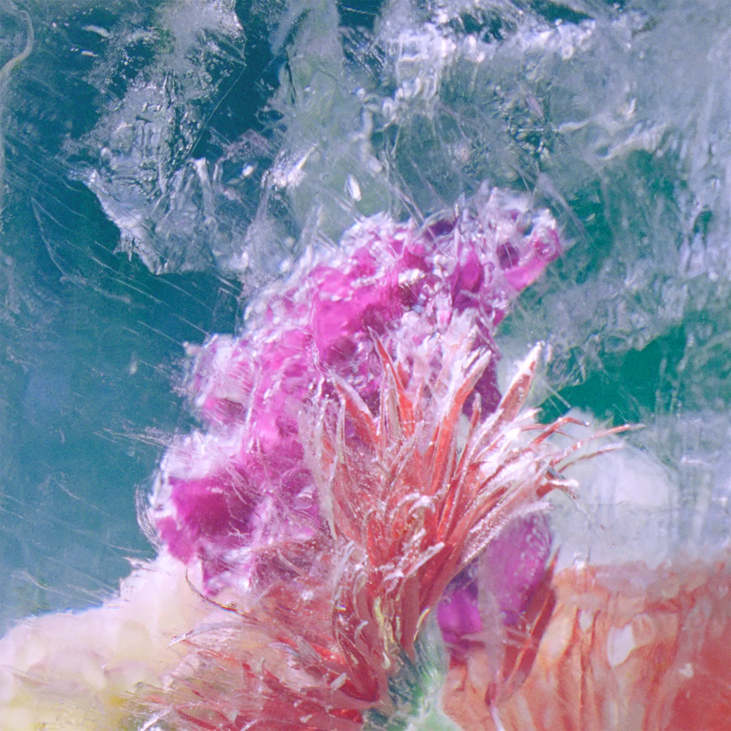 Plexiglass - Efterklang