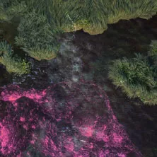 A Colossal Weekend 2024