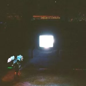 Does It Look Like I'm Here - Emeralds