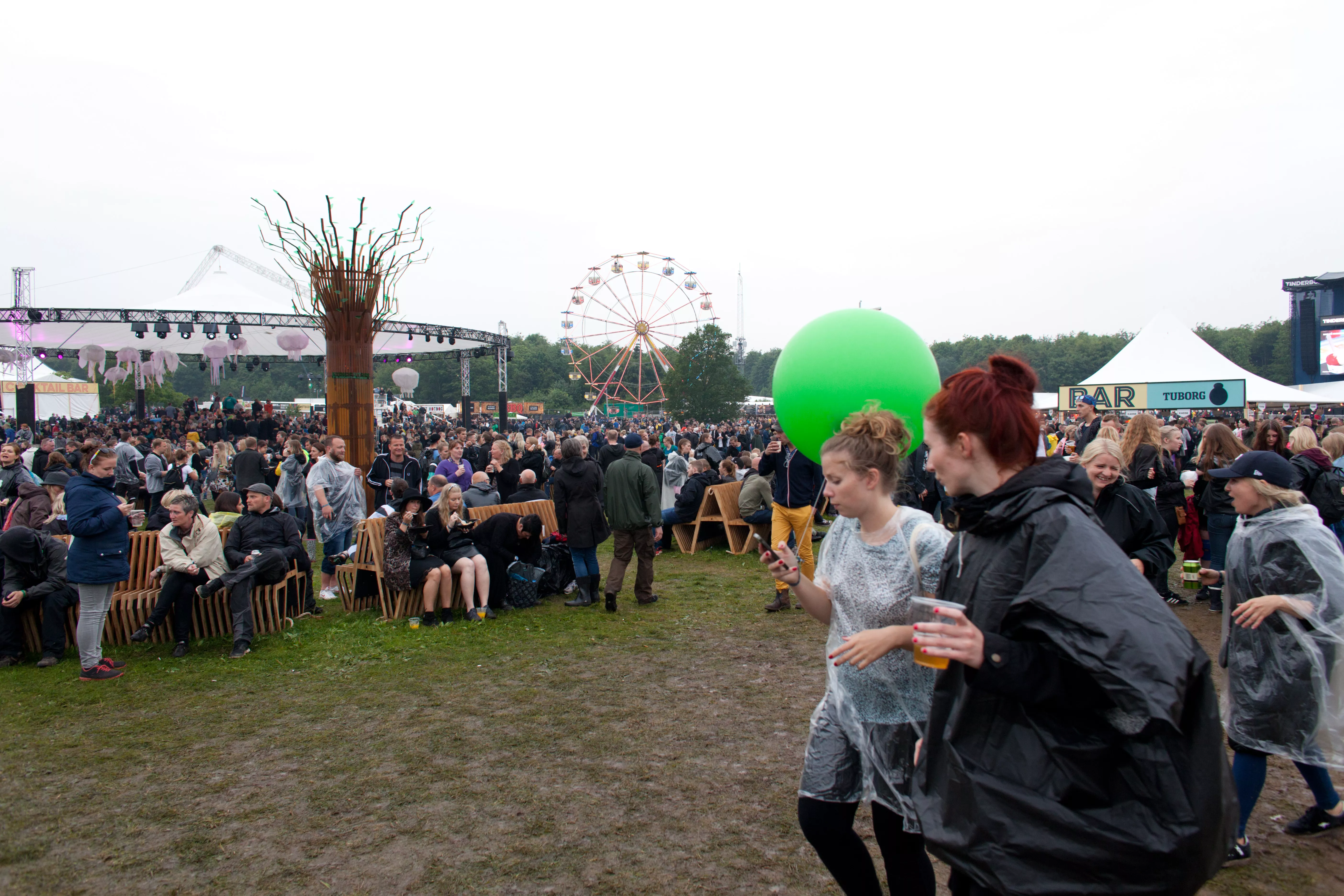 Tinderbox tabte 31 millioner første år