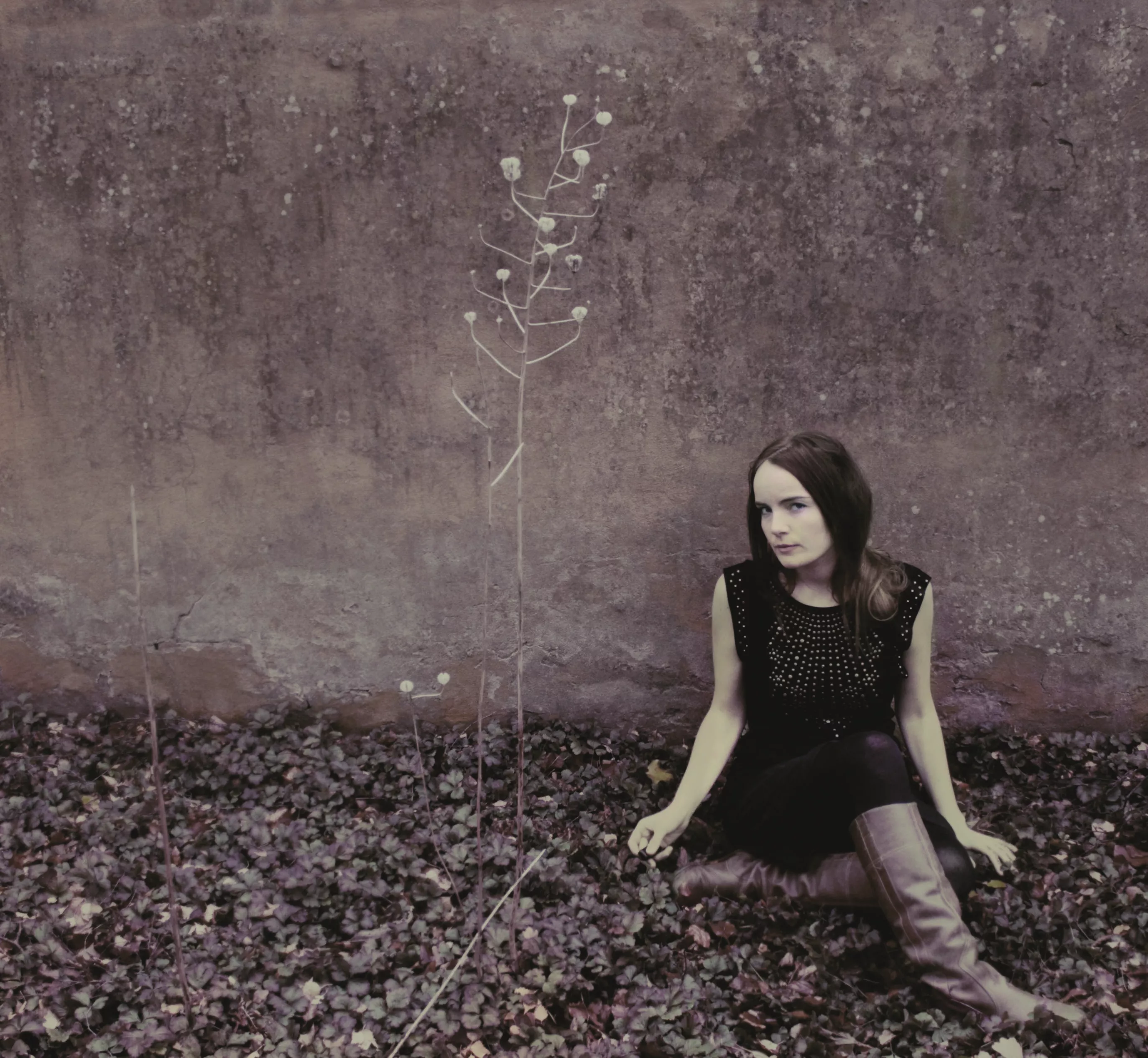 Under The Skin Of A Skeleton Zebra - Anna Rosenkilde