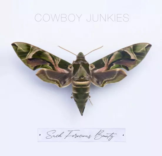 Such Ferocious Beauty - Cowboy Junkies