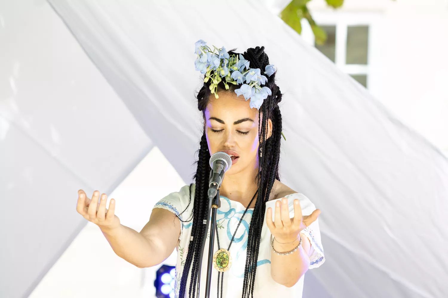 Solide sange og småskinger stemme