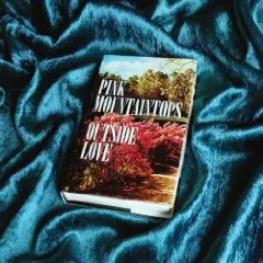 Outside Love - Pink Mountaintops