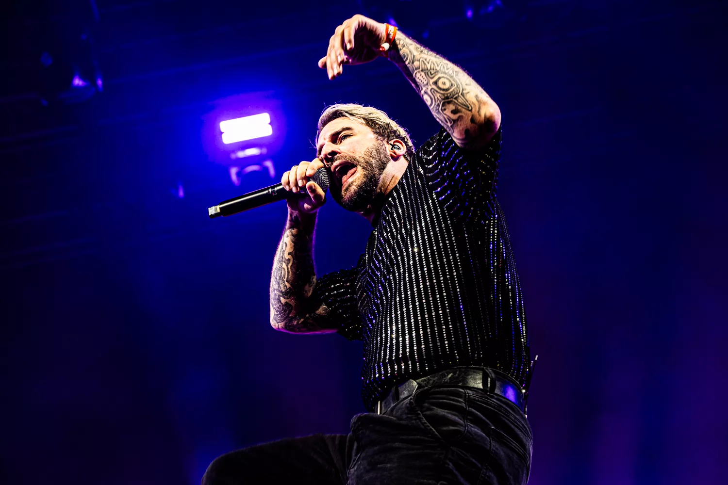 Omfavnelse af al lavkultur