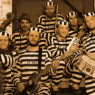 Babylove and the van Dangos klar med nyt