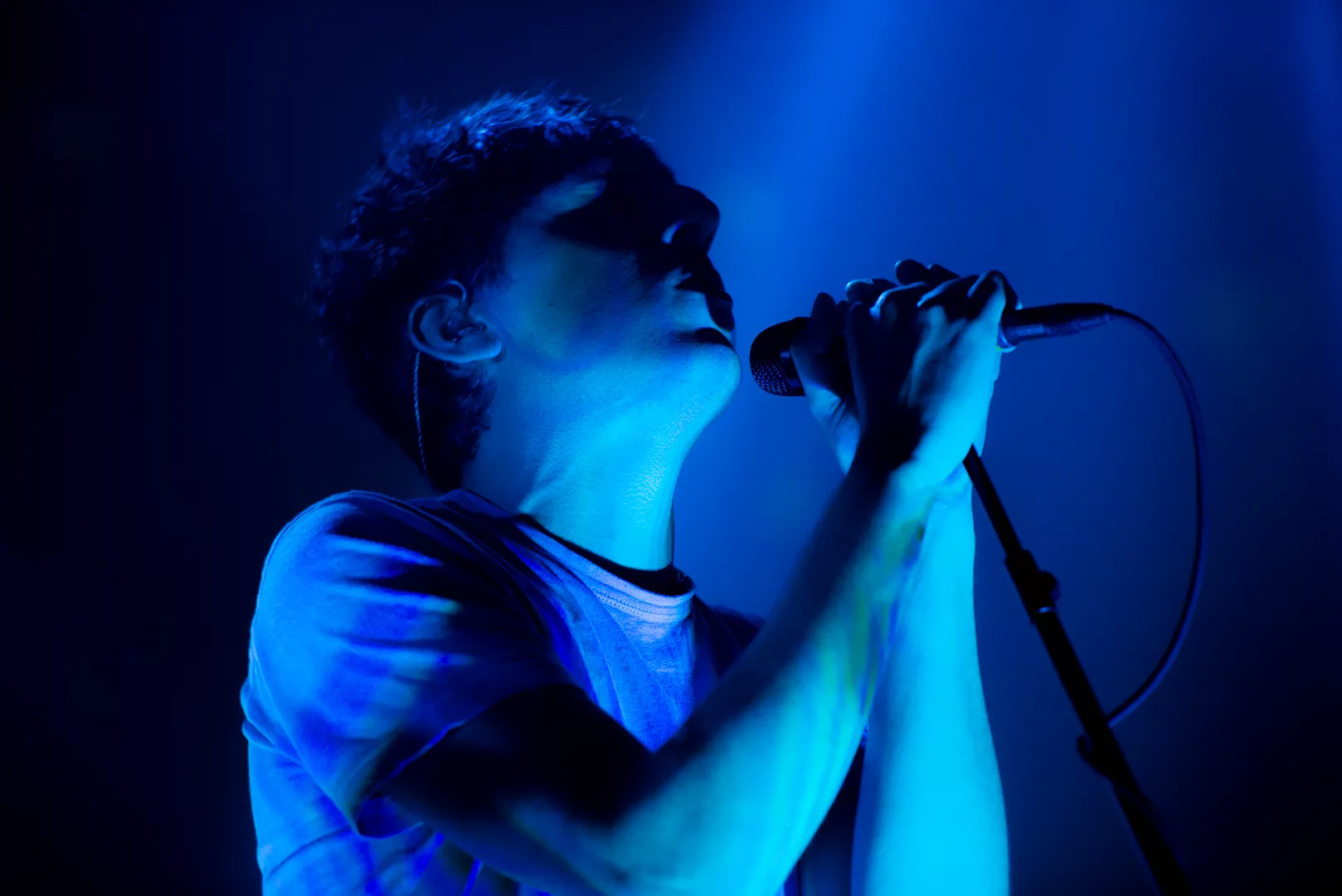 Grizzly Bear: Falconer Salen, København