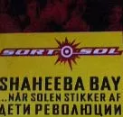 1994 - Nattevagten cementerer succes