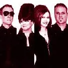 Videoer bandlyst på MTV på grund af Irak-krig