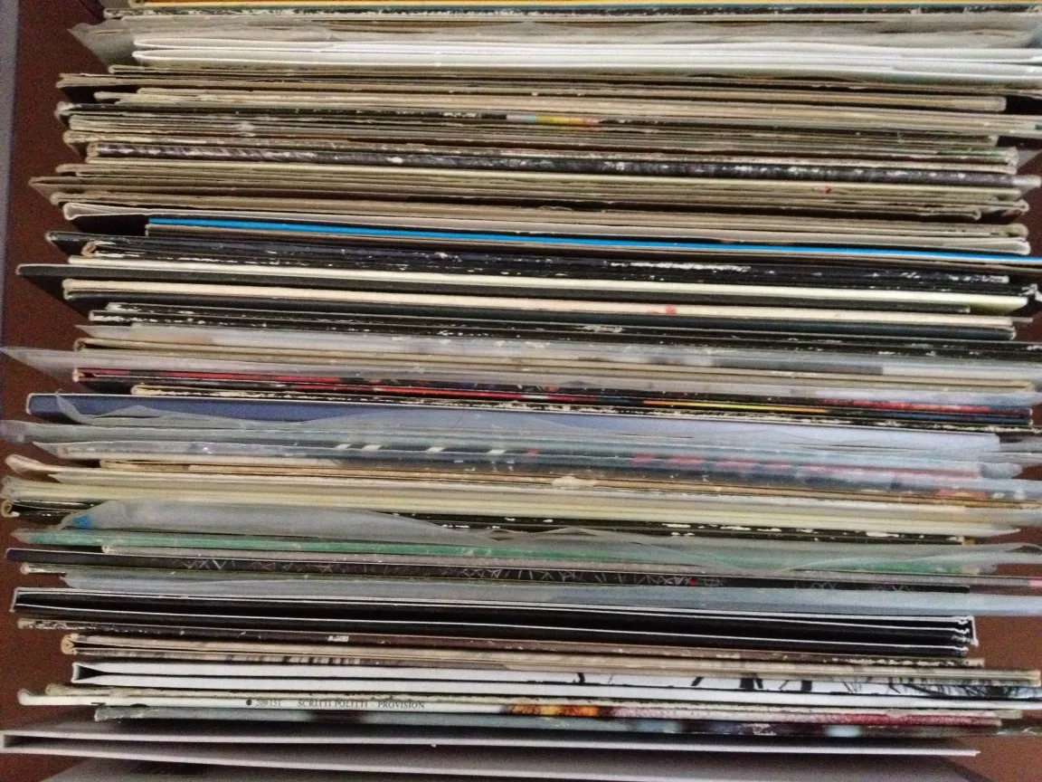 Världens största vinylsamling blir musikbibliotek