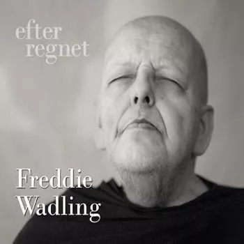 Efter Regnet - Freddie Wadling