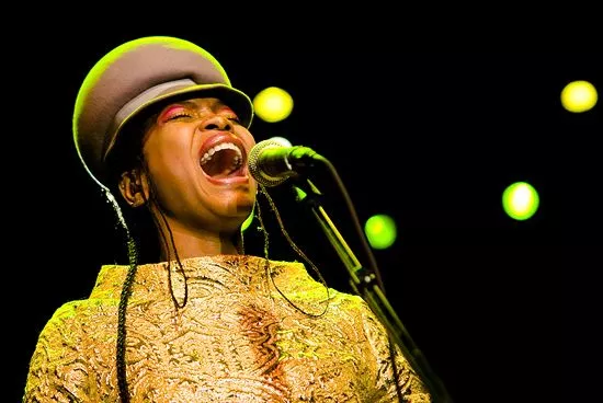 Erykah Badu fick böta för stripp i Dallas