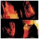 Nye Roskilde-offentliggørelser