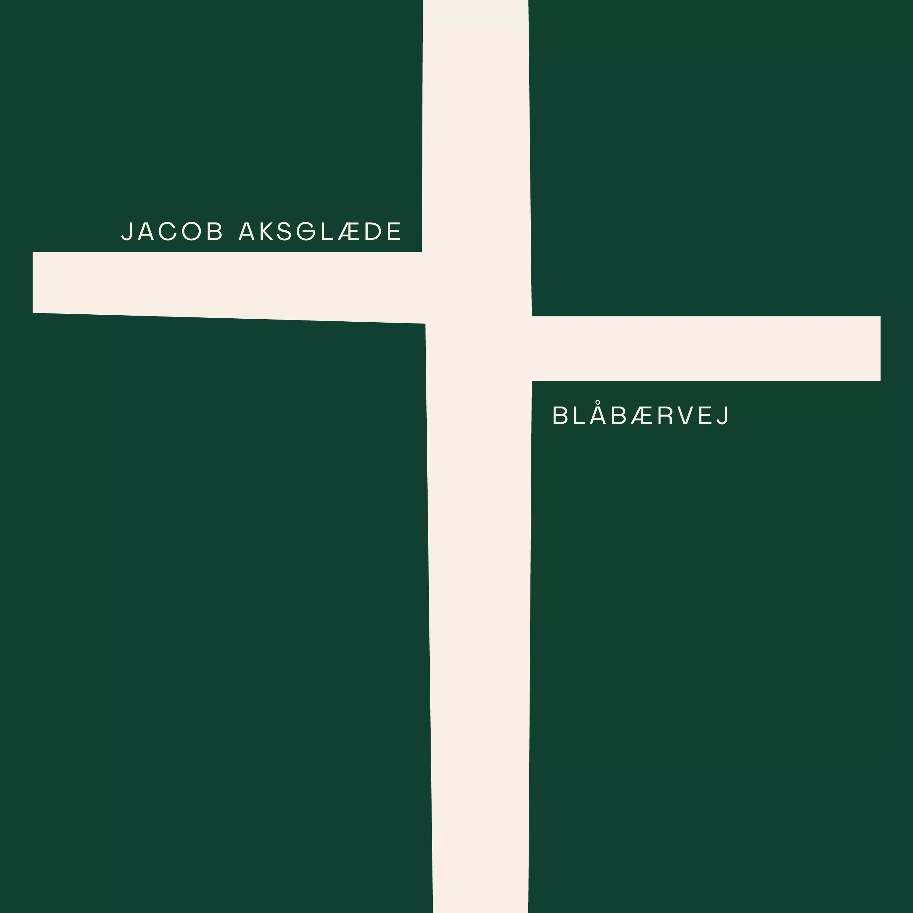 Blåbærvej - Jacob Aksglæde