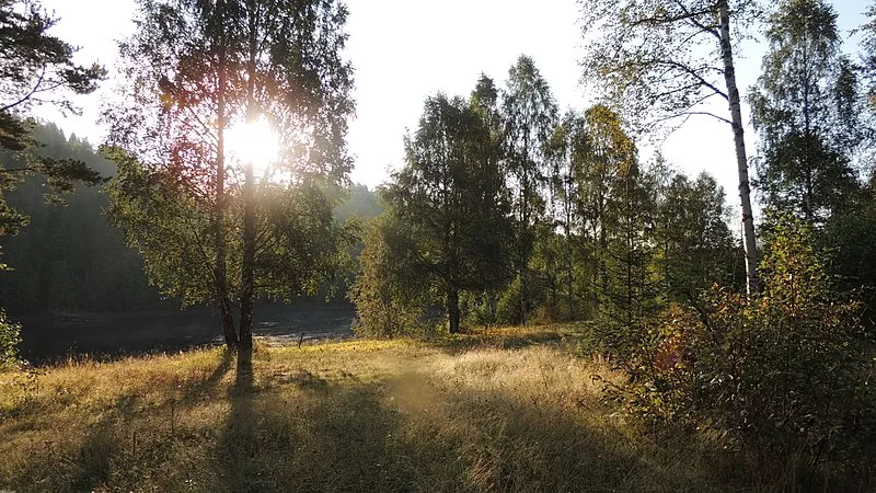 Festival ställs in – på grund av brandrisk