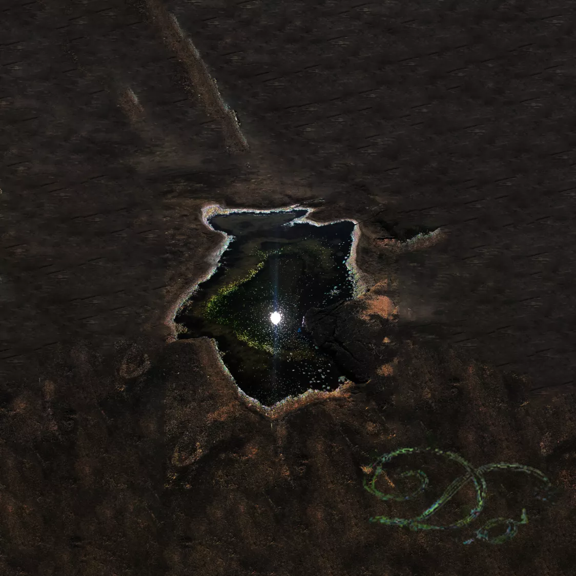 Gi Meg Månen - Signe Dø