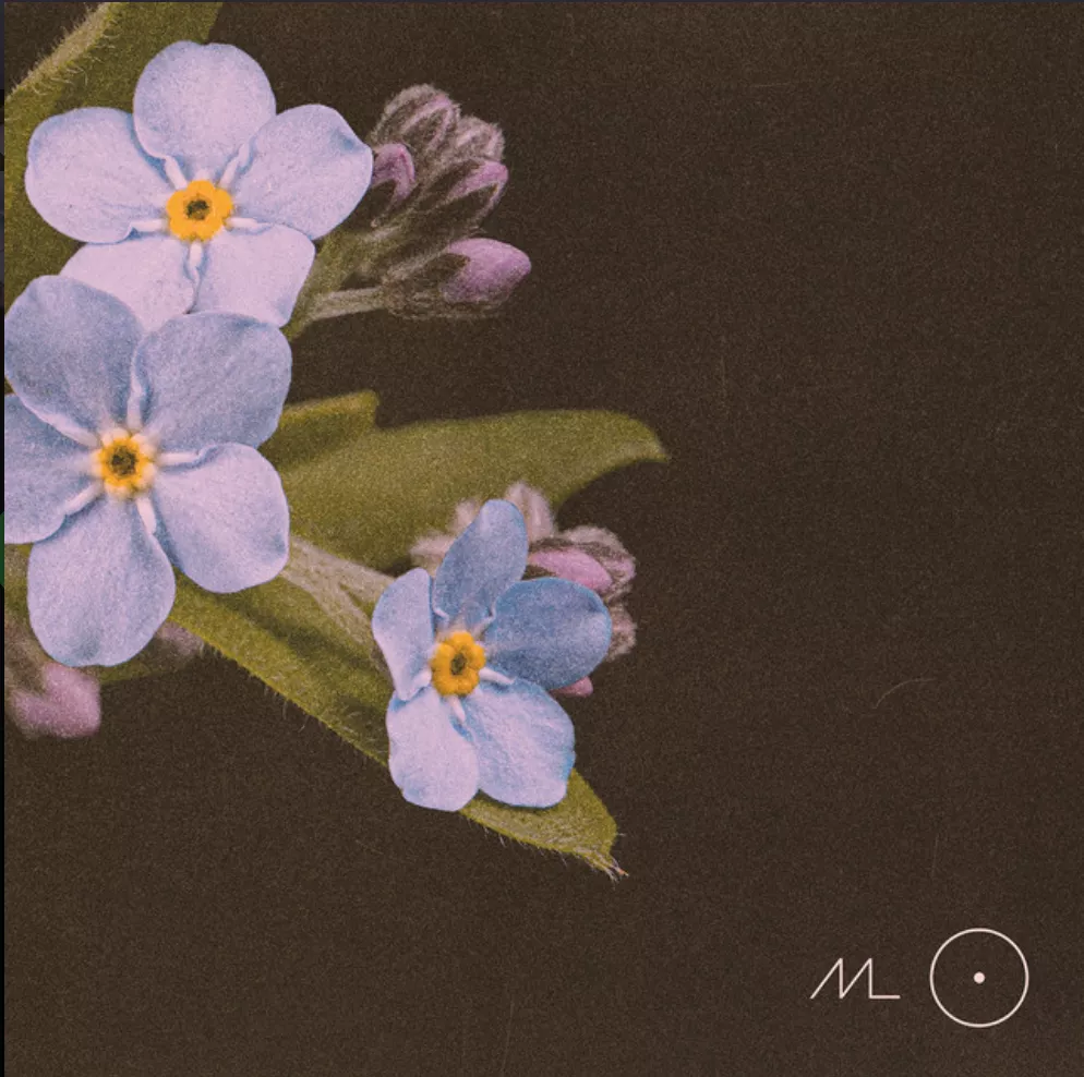 Twenty - Mads Langer