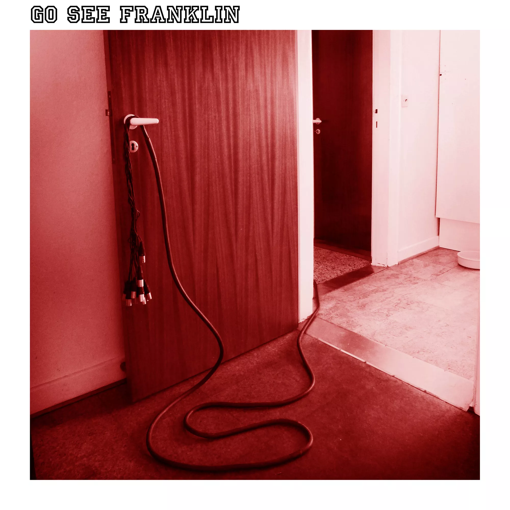 Go See Franklin - Go See Franklin