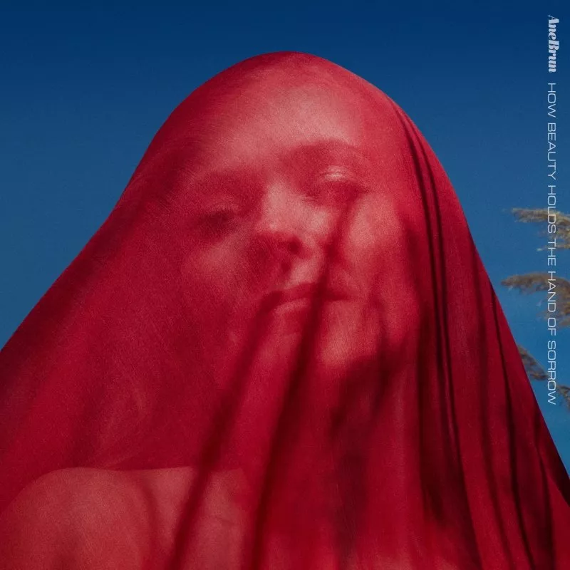 How Beauty Holds The Hand Of Sorrow. - Ane Brun