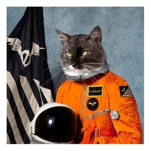 Surfing The Void - Klaxons