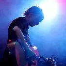 Rost islænding optræder i Danmark