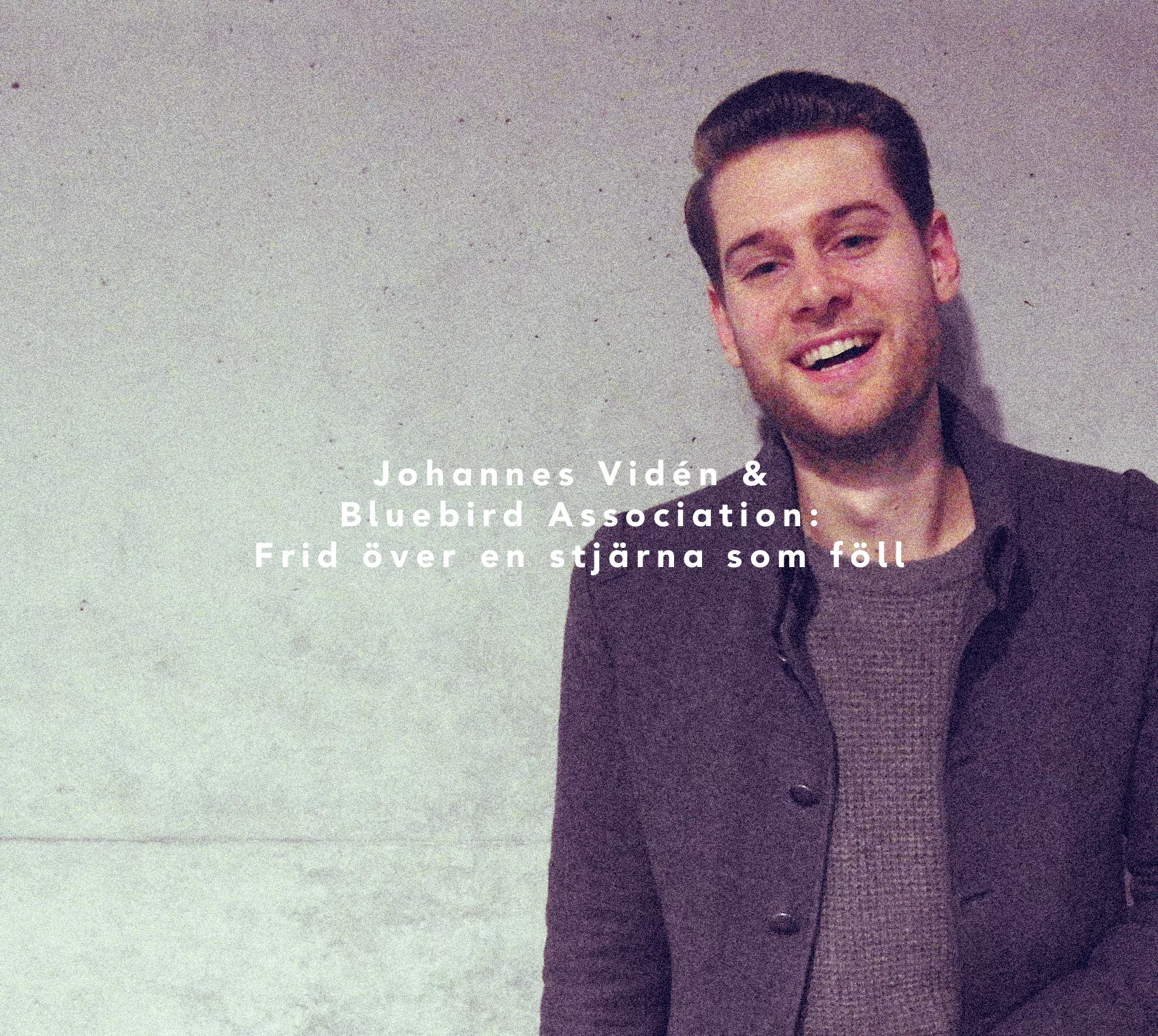 Frid över en stjärna som föll - Johannes Vidén & Bluebird Association