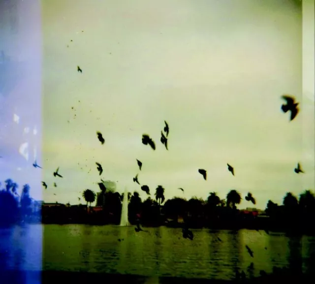 Nightlight - Sharing Out Loud