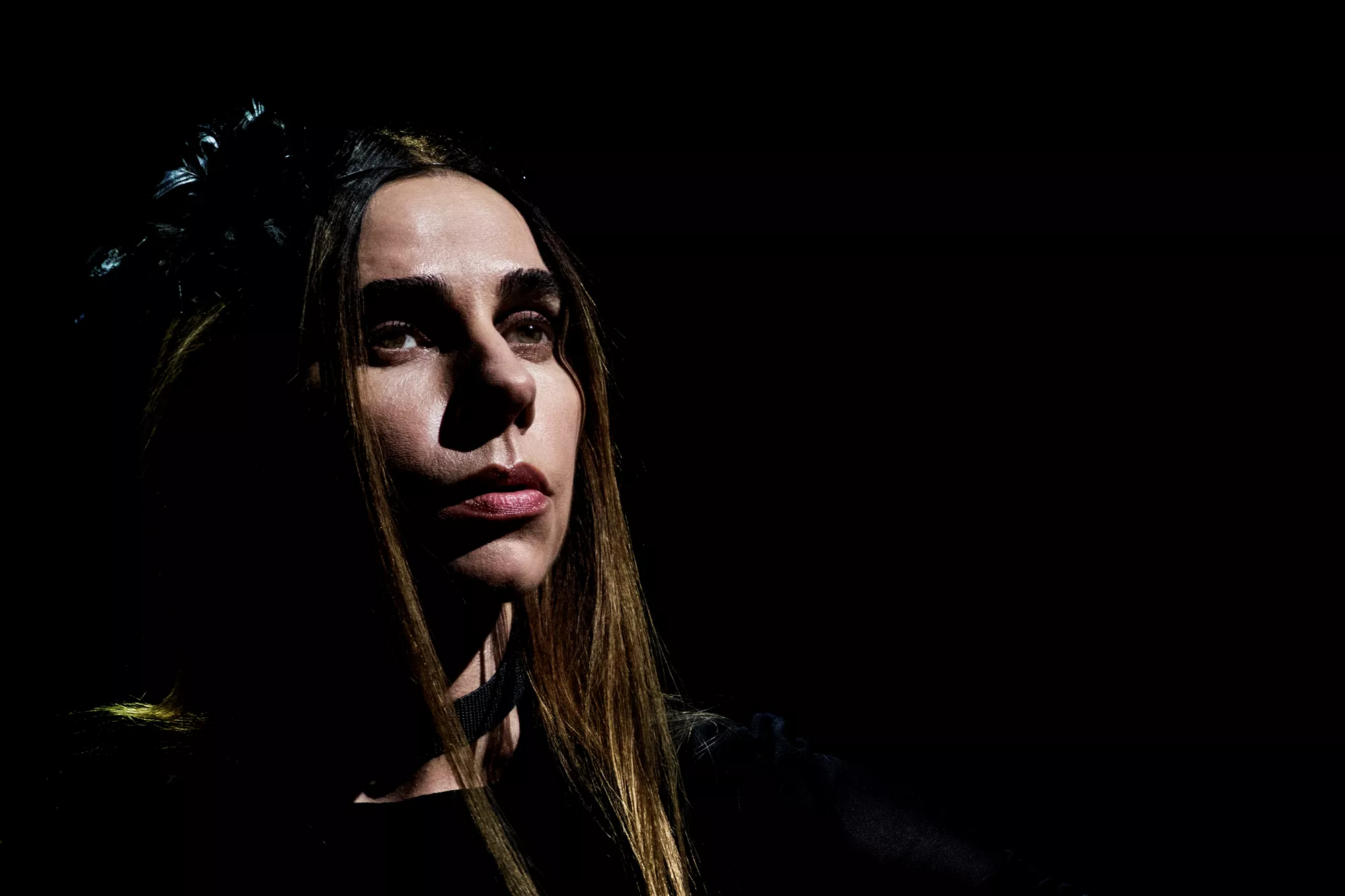 PJ Harvey annoncerer ny bog