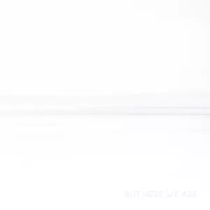 But Here We Are - Foo Fighters