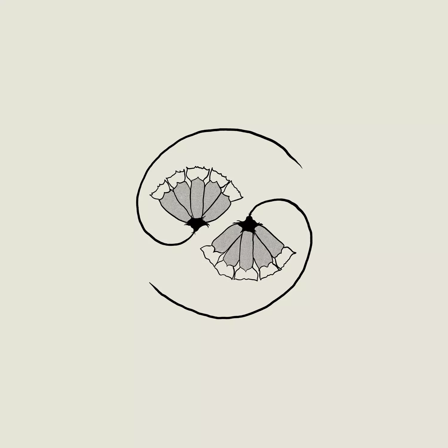 G_d's pee AT STATE'S END! - Godspeed You! Black Emperor