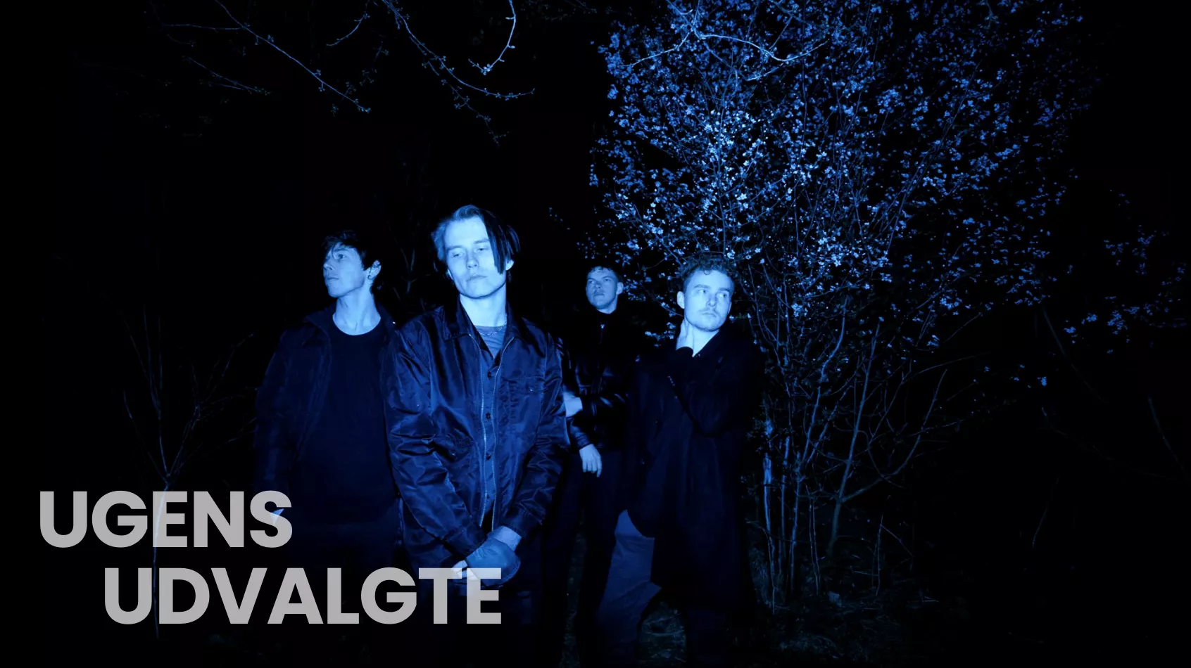 GAFFA: Ugens udvalgte