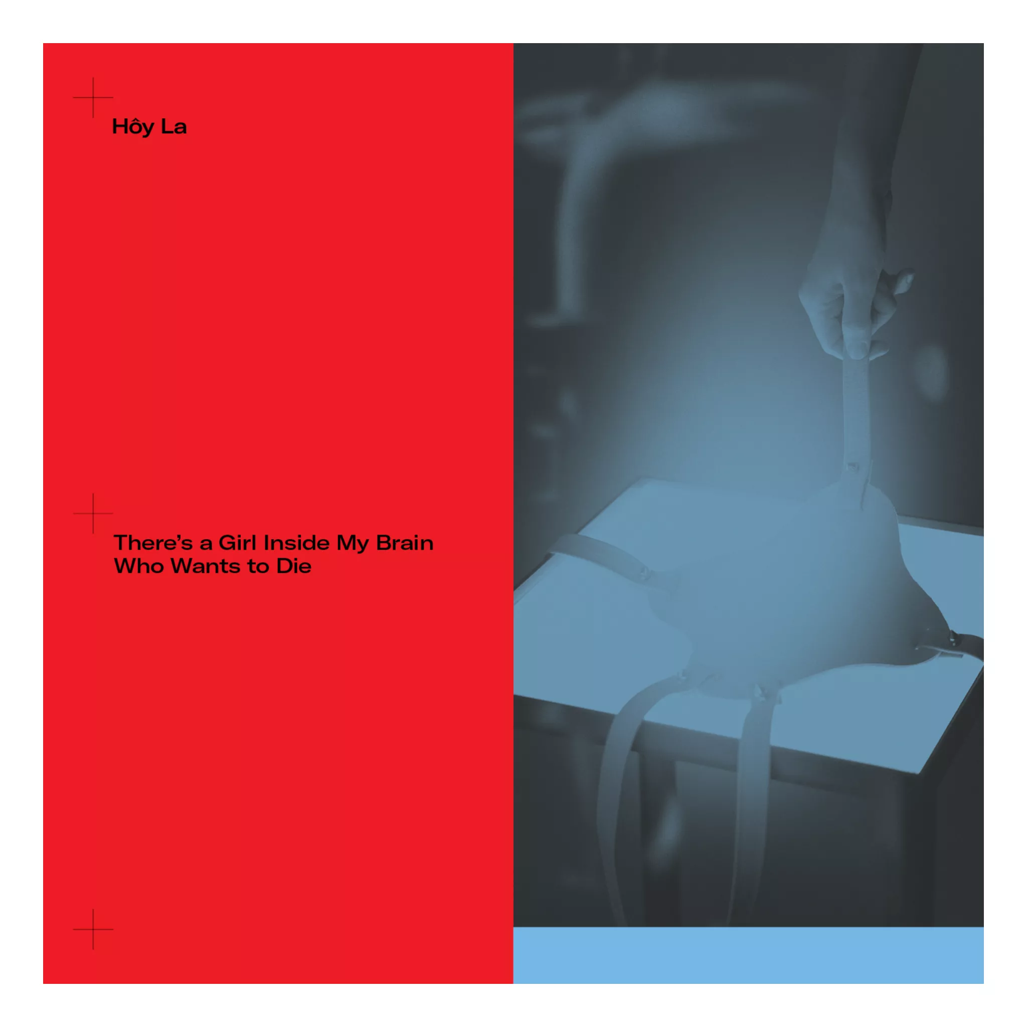 There’s a Girl Inside My Brain Who Wants to Die - Hôy La