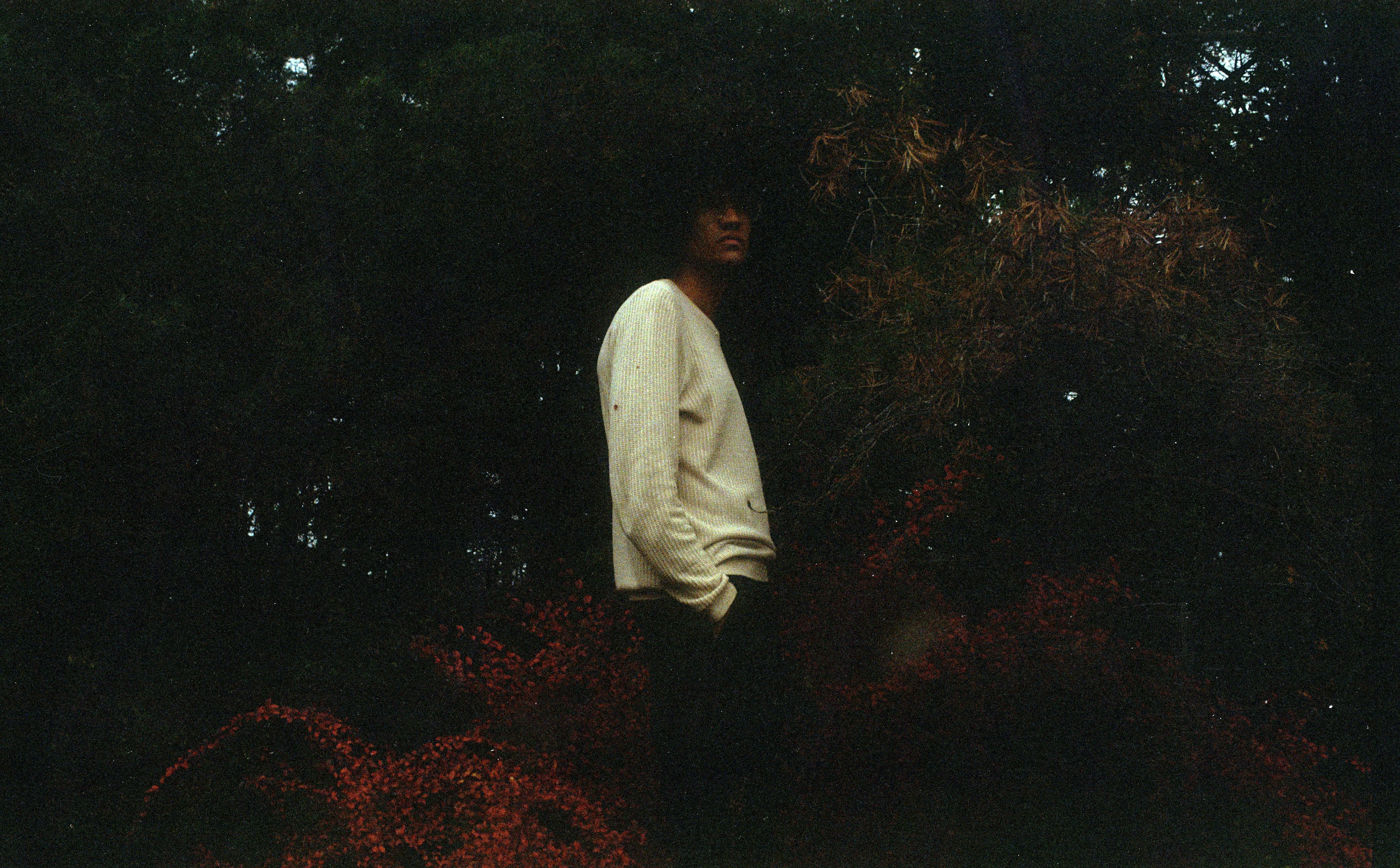 BÄST JUST NU: Beharie – When Are We Going 