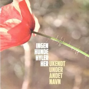 Ingen Hunde Hyler Her - Ukendt Under Andet Navn