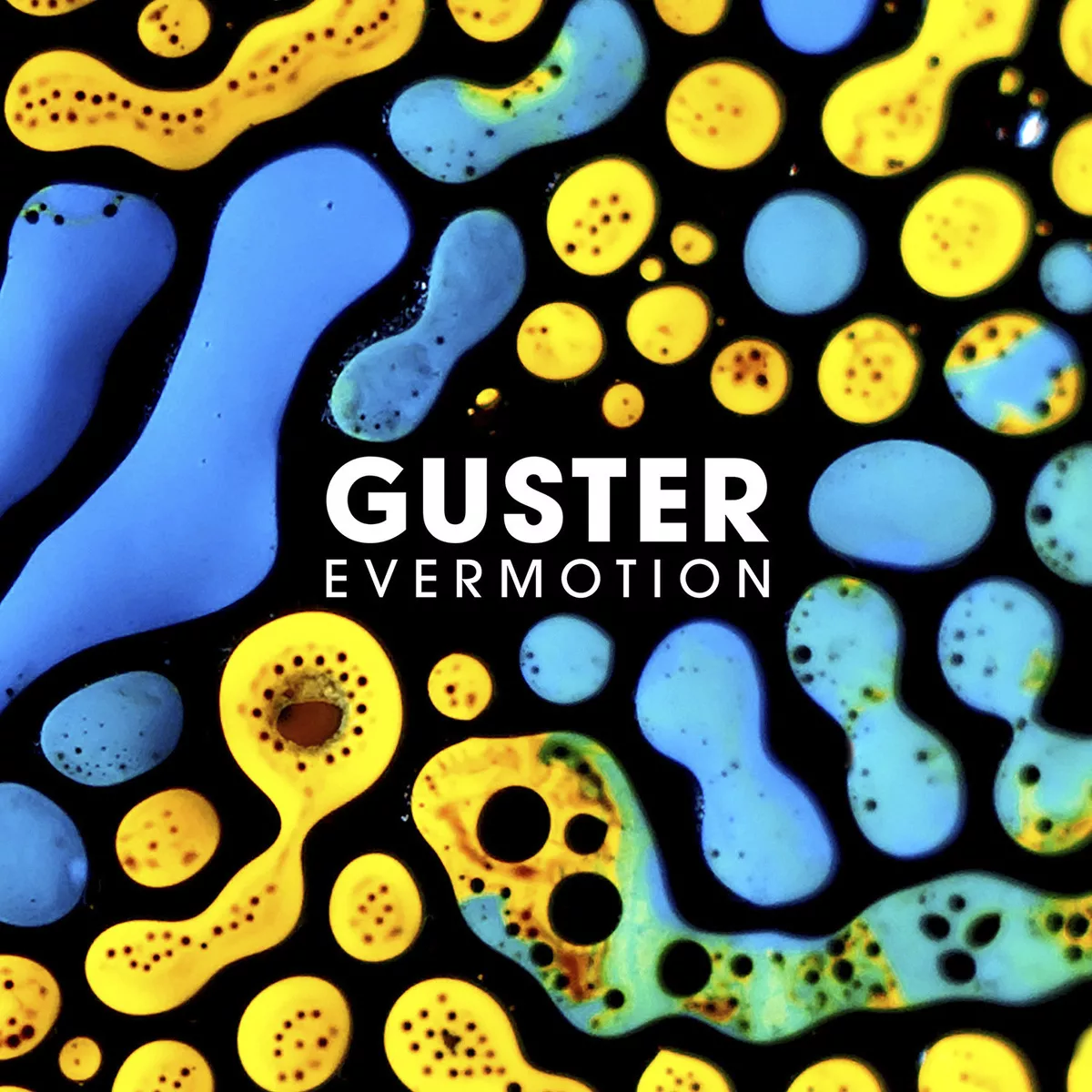 Evermotion - Guster