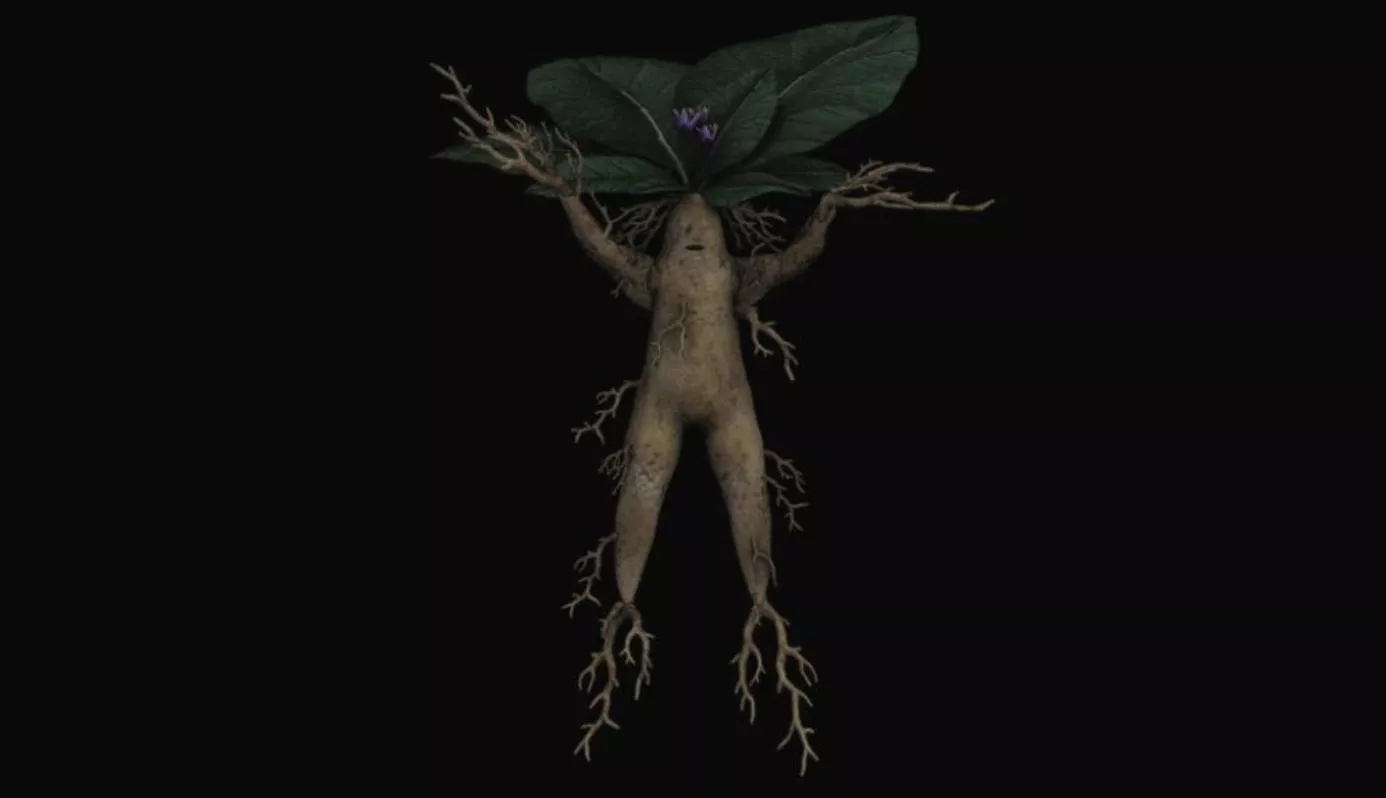 Når en flok syrehoveder strammer op