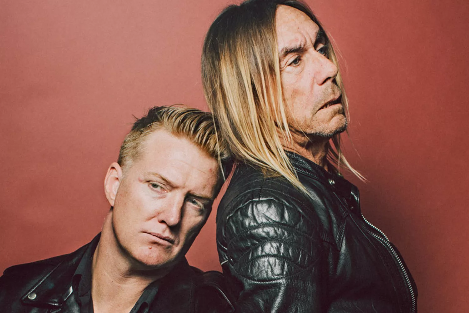 Lyt til Iggy Pop og Josh Hommes nye album nu