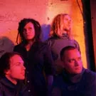 Dansk band fejrer Hamburg-spillested