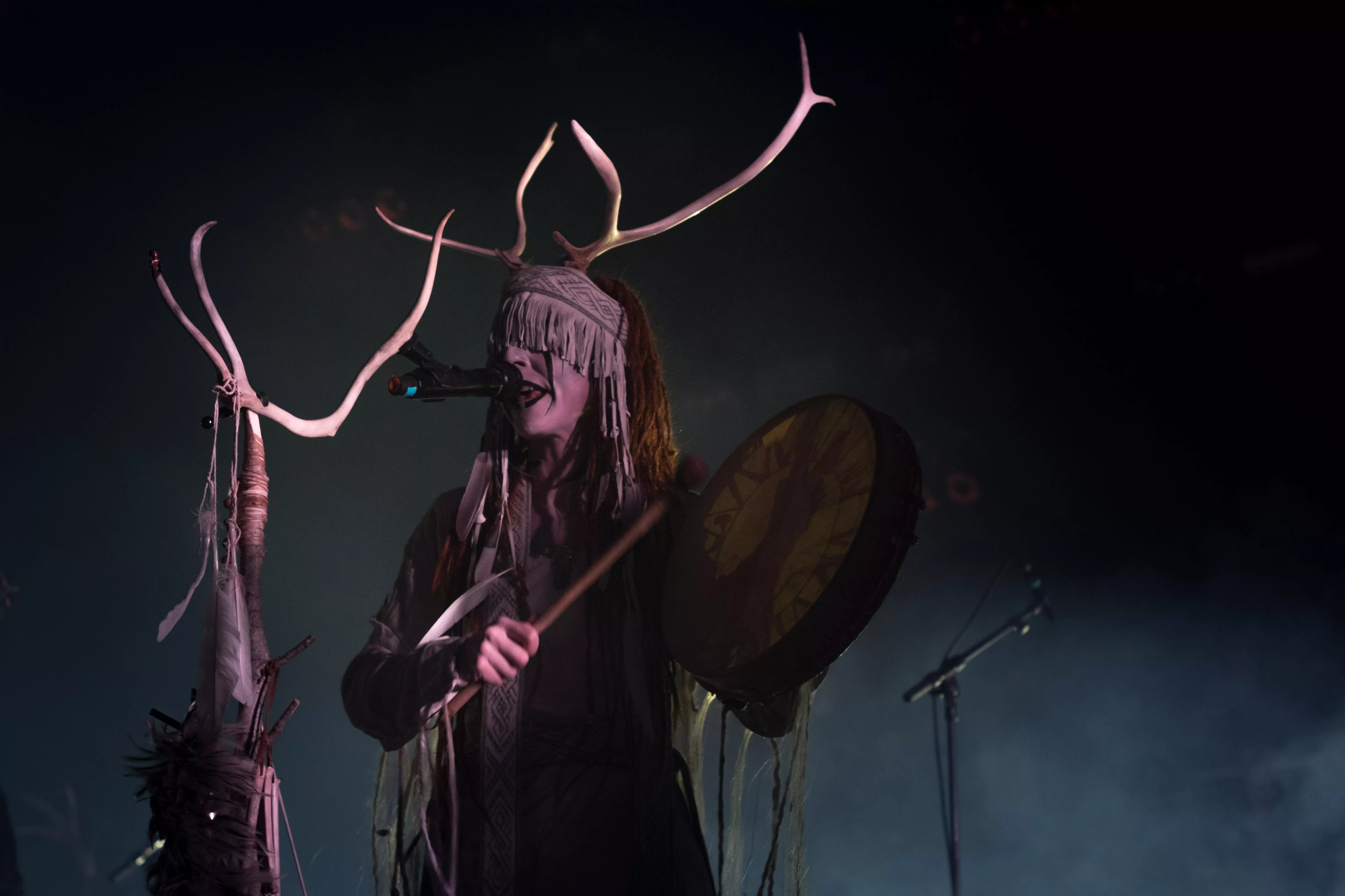 Vikingerne er kommet!