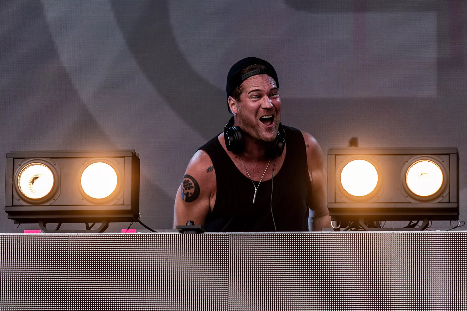 Langtidssyltet døgnflue i ligegyldig jagt på bas