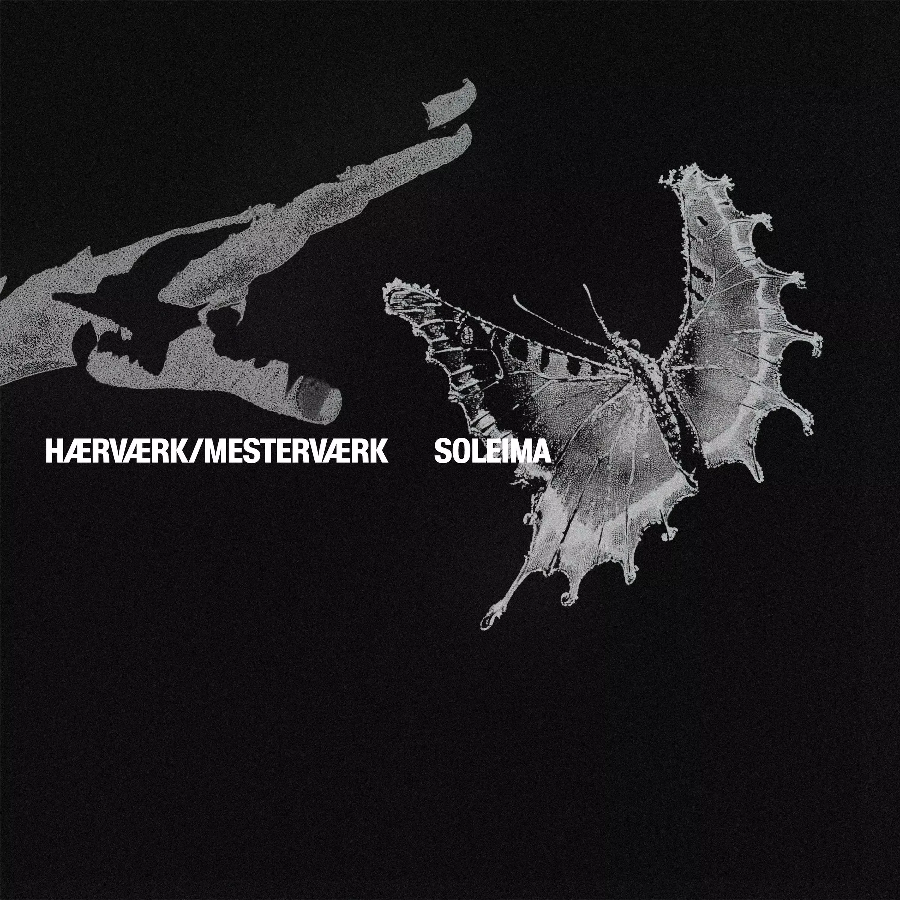 Hærværk/Mesterværk - Soleima