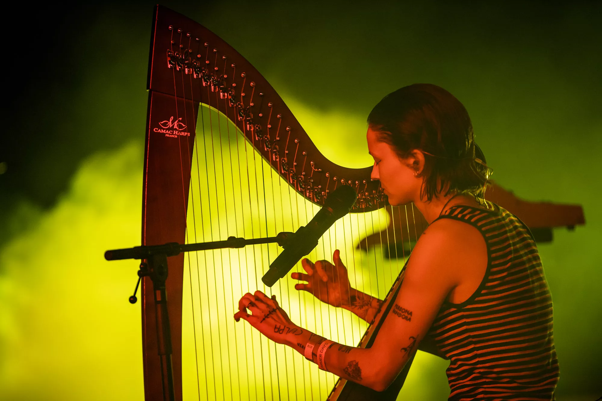 “Hvis der er en anmelder her, så bare feel free til at give os ét hjerte”