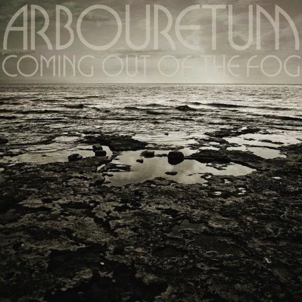Coming Out Of The Fog - Arbouretum