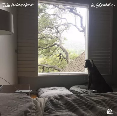 Amerikansk komiker tager musikken alvorligt