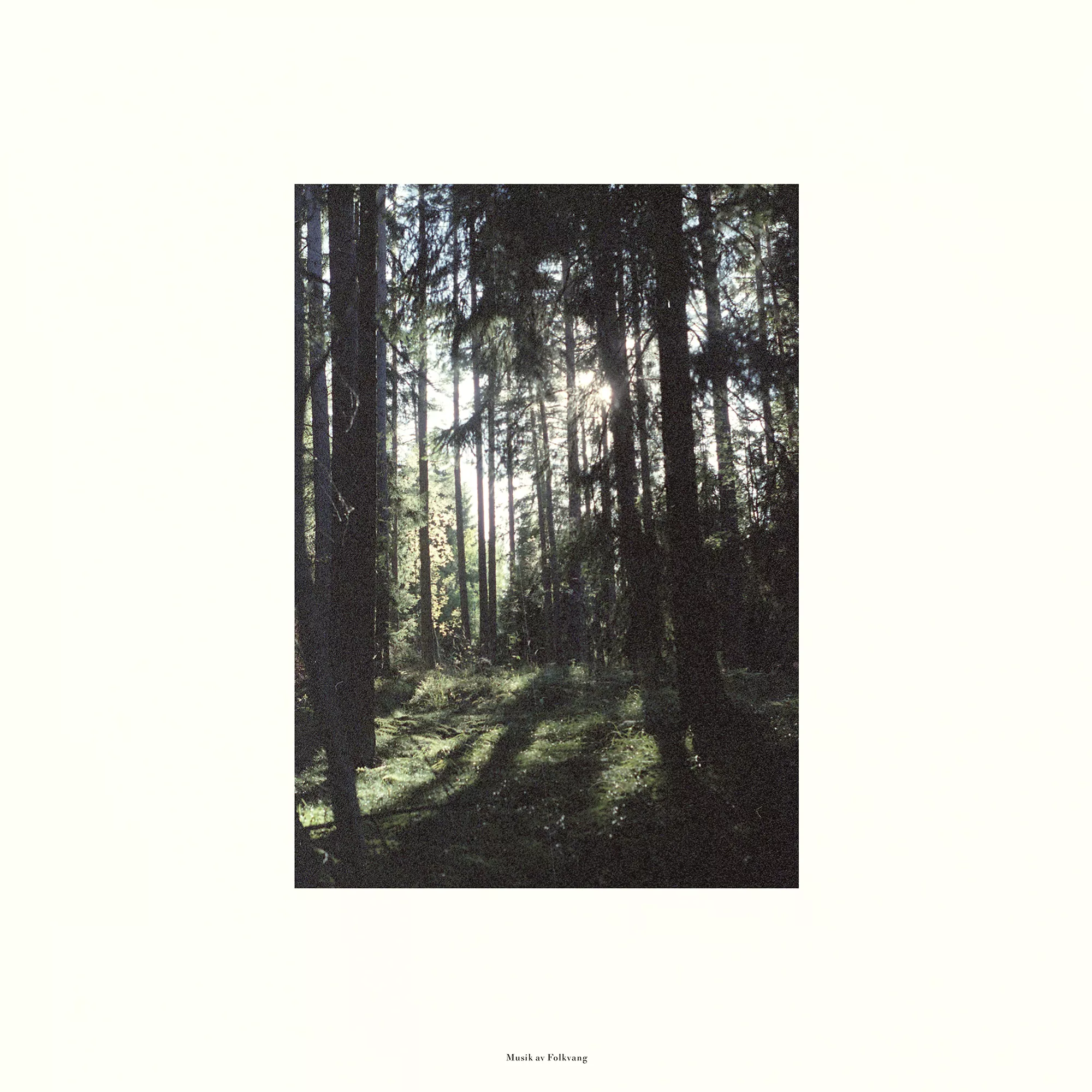 Folkvang - Folkvang