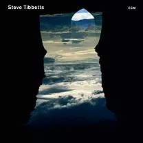 Natural Causes - Steve Tibbetts